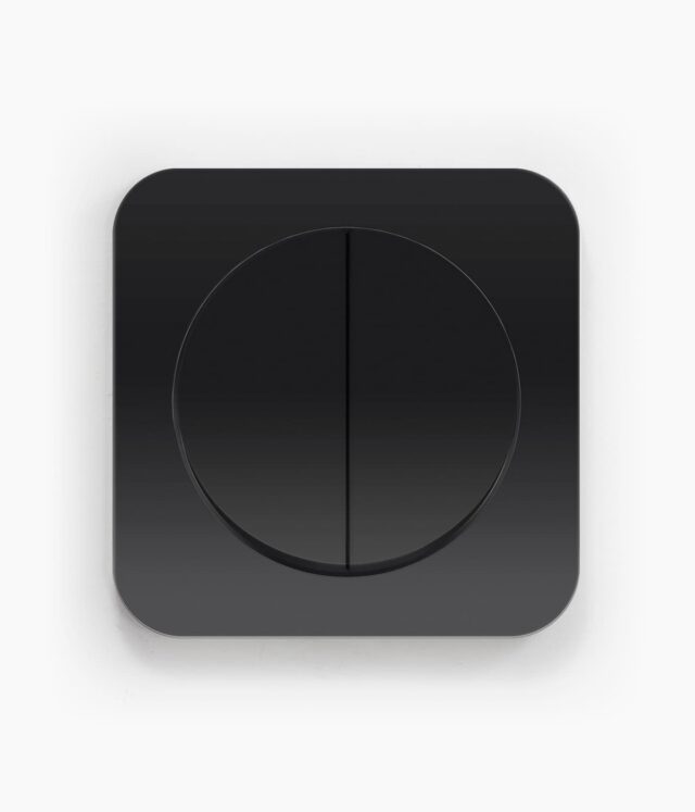 Berker R.1 Black switch