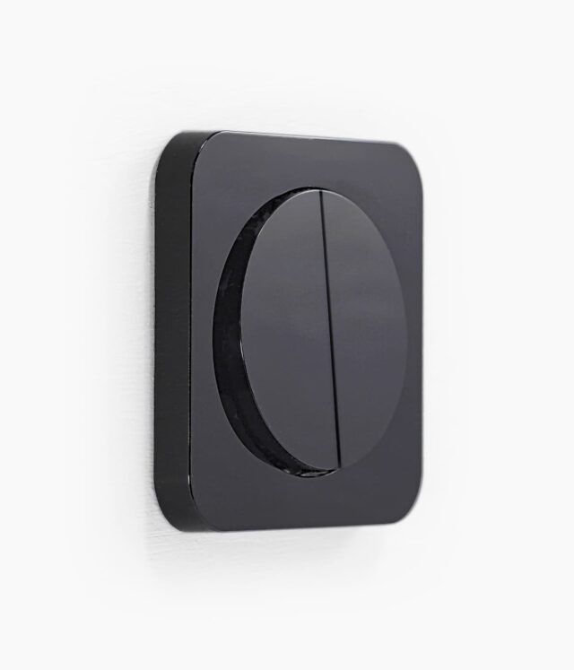 Berker R.1 Black switch
