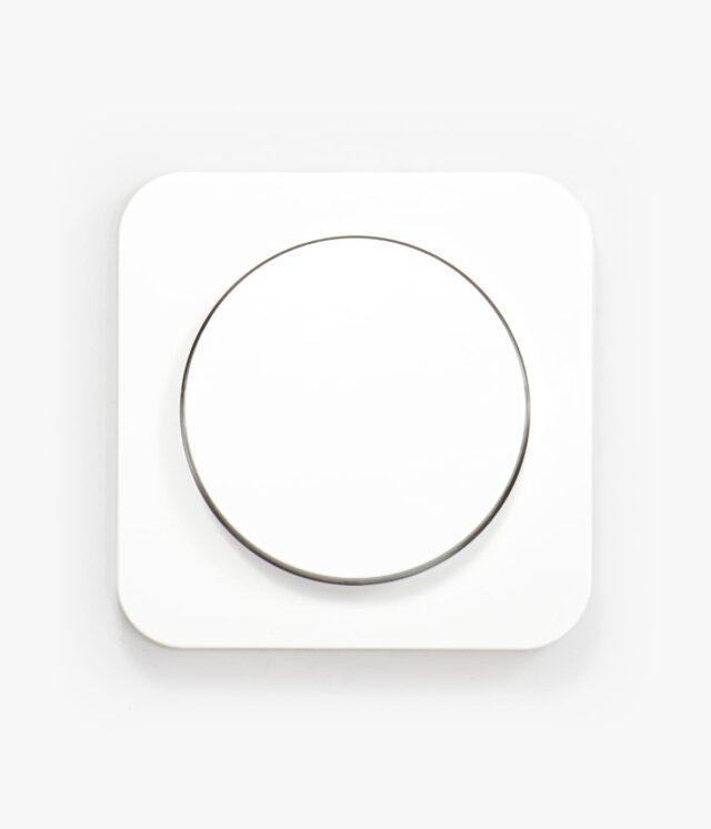 Berker R.1 White light switch