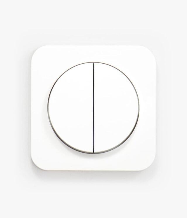Berker R.1 White light switch