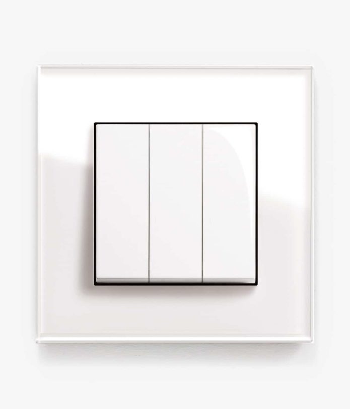 GIRA Esprit White Glass light switch