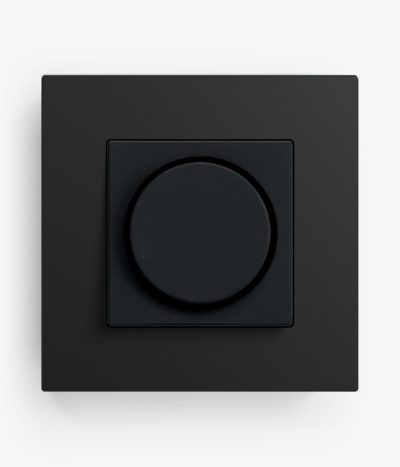 100-GIRESPLP-ANBM-09-00A Gira Esprit Linoleum Plywood Anthracite Dimmer