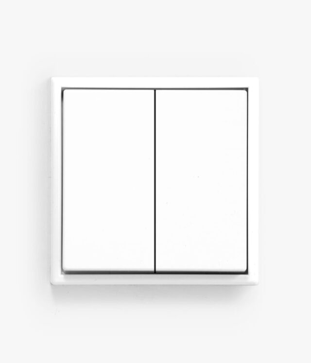 Jung LS 990 White light switch