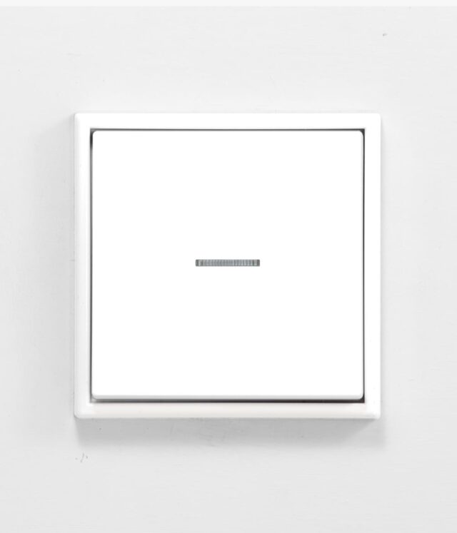 Jung LS990 White isolator switch with light